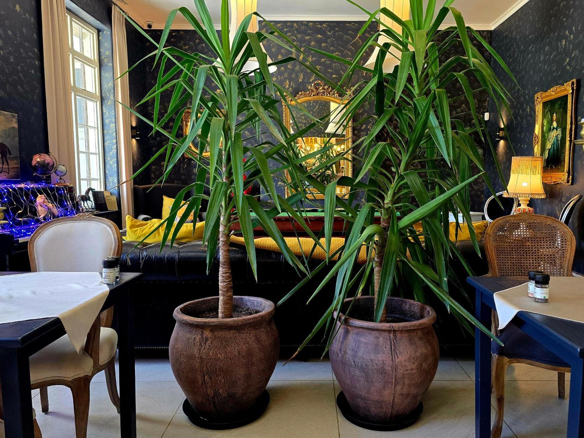 Pjure Boutique Hotel & Spa Montagu Eksteriør bilde